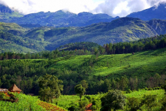Eastern-Highlands-e1488373981799